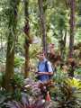 Paseando por el Jardín botánico de Singapur
Singapore