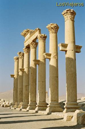 Palmira - Siria
Palmyra - Syria