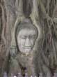 Go to big photo: Detail of Ayutthaya Historical Park -Thailand