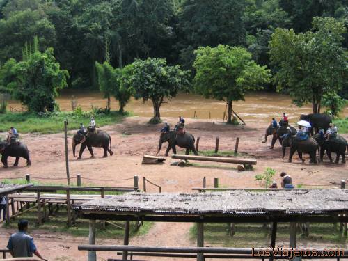 Campo de trabajo de elefantes, camino de Chiang Rai - Tailandia
Elephant Working Camp, in the road to Chiang Rai - Thailand