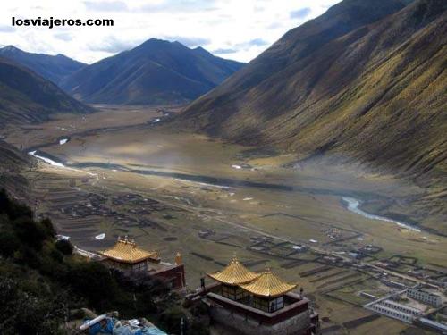 Monasterio de Drigung Til - Tibet - China