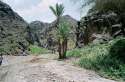 Go to big photo: Wadi-Sar-Dut-Yemen