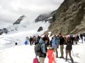 Jungfrau
Jungfrau