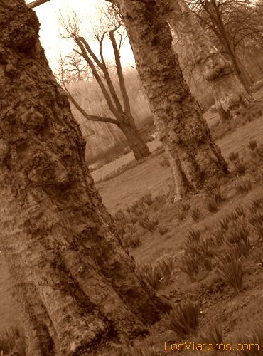Regent's Park en sepia - Reino Unido