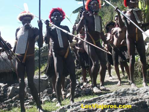 Ceremonia del Cerdo - Kilise - Valle Baliem - Papúa Nueva Guinea - Indonesia
Ceremony of the Pig - Kilise -Balliem Valley Papua New Guinea - Indonesia