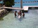 Go to big photo: Dolphins in Intercontinental Moorea Hotel
