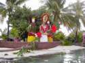 Boda Polinesia
Polynesia wedding