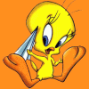 Piolin66